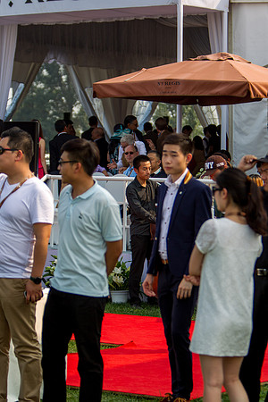 Royal Salute Gold Cup 2012 China Polo Open Tournament