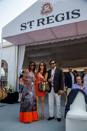 Royal Salute Gold Cup 2012 China Polo Open Tournament