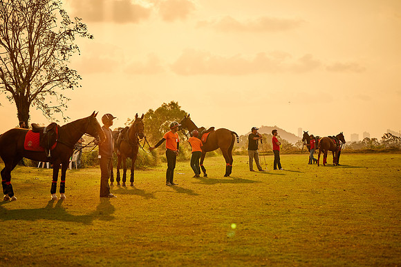 THAI-PINK-POLO-2019_DJ_5484