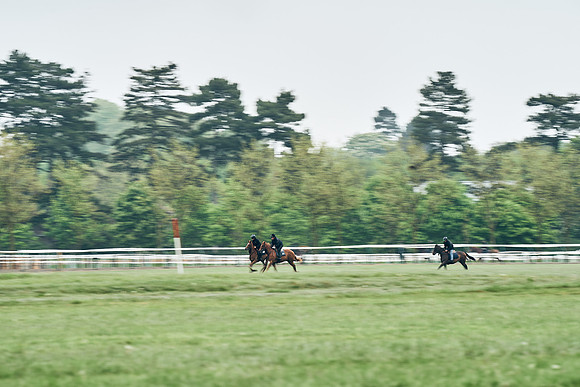 NEWMARKET-RACECOURSE-29th-APRIL-DJ-1021