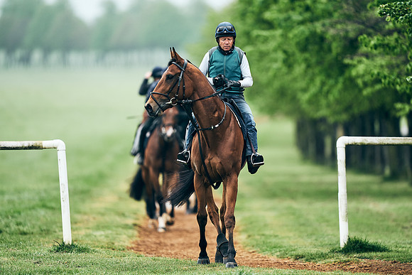 NEWMARKET-RACECOURSE-29th-APRIL-DJ-1264