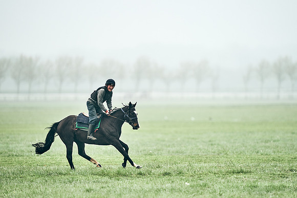 NEWMARKET-RACECOURSE-29th-APRIL-DJ-0302