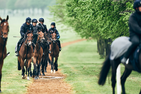 NEWMARKET-RACECOURSE-29th-APRIL-DJ-1256