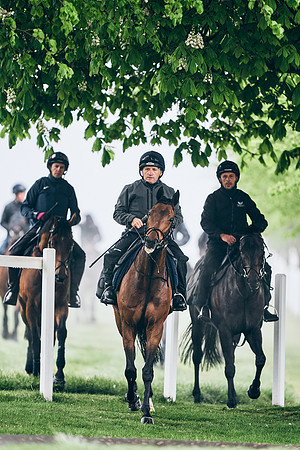 NEWMARKET-RACECOURSE-29th-APRIL-DJ-0037