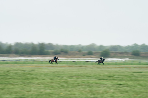 NEWMARKET-RACECOURSE-29th-APRIL-DJ-1227