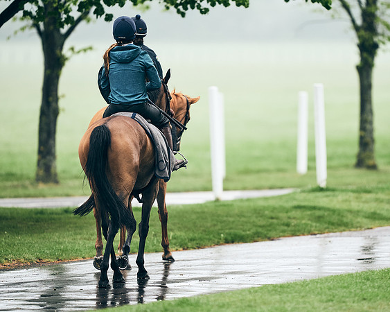 NEWMARKET-RACECOURSE-29th-APRIL-DJ-0195