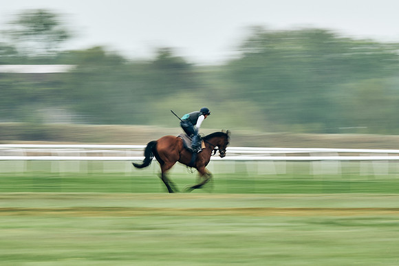 NEWMARKET-RACECOURSE-29th-APRIL-DJ-1362
