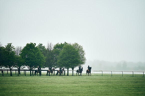NEWMARKET-RACECOURSE-29th-APRIL-DJ-0280