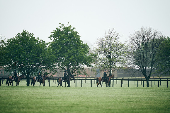 NEWMARKET-RACECOURSE-29th-APRIL-DJ-0264