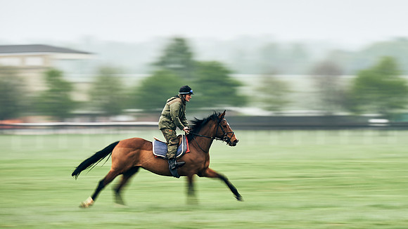 NEWMARKET-RACECOURSE-29th-APRIL-DJ-0858