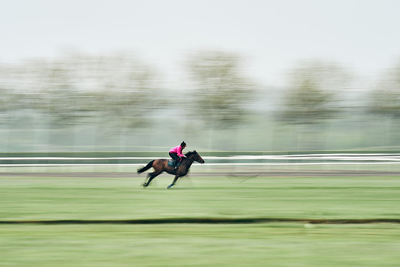 NEWMARKET-RACECOURSE-29th-APRIL-DJ-0667