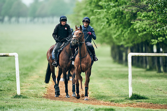 NEWMARKET-RACECOURSE-29th-APRIL-DJ-1312