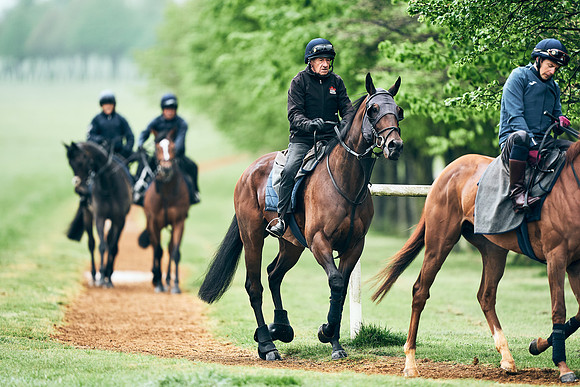 NEWMARKET-RACECOURSE-29th-APRIL-DJ-1317