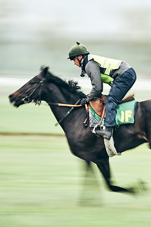 NEWMARKET-RACECOURSE-29th-APRIL-DJ-0804