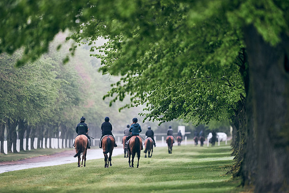 NEWMARKET-RACECOURSE-29th-APRIL-DJ-0213