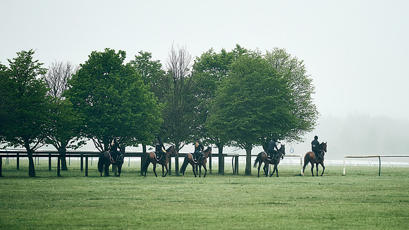 NEWMARKET-RACECOURSE-29th-APRIL-DJ-0278