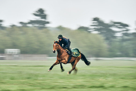 NEWMARKET-RACECOURSE-29th-APRIL-DJ-0768