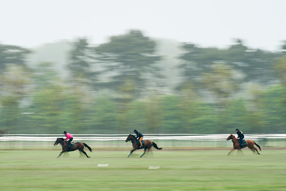 NEWMARKET-RACECOURSE-29th-APRIL-DJ-0479