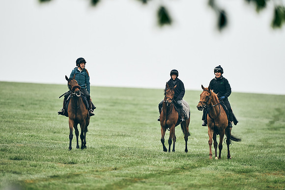 NEWMARKET-RACECOURSE-29th-APRIL-DJ-0167