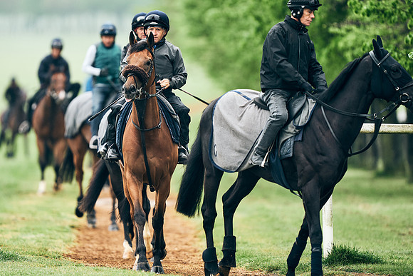 NEWMARKET-RACECOURSE-29th-APRIL-DJ-1248