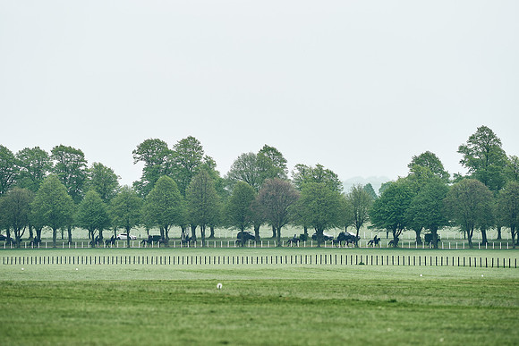 NEWMARKET-RACECOURSE-29th-APRIL-DJ-1155