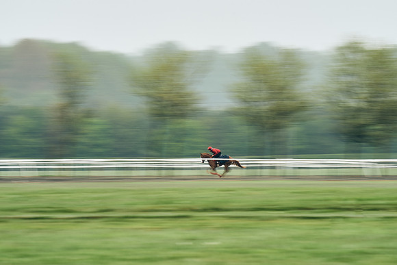 NEWMARKET-RACECOURSE-29th-APRIL-DJ-0551