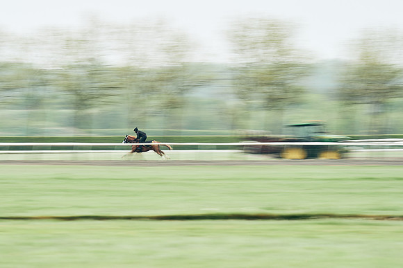 NEWMARKET-RACECOURSE-29th-APRIL-DJ-1194