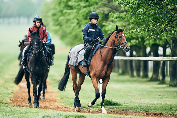 NEWMARKET-RACECOURSE-29th-APRIL-DJ-1287