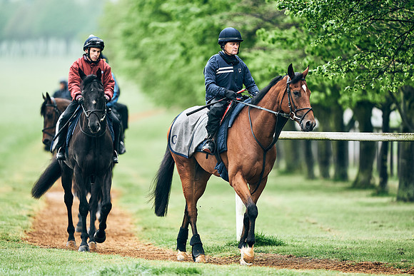 NEWMARKET-RACECOURSE-29th-APRIL-DJ-1289