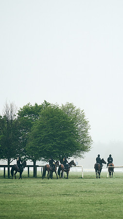NEWMARKET-RACECOURSE-29th-APRIL-DJ-0284