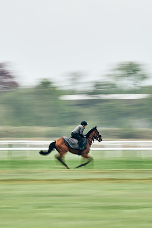 NEWMARKET-RACECOURSE-29th-APRIL-DJ-1350