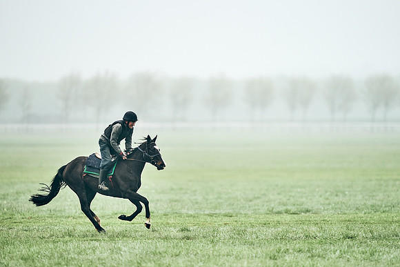 NEWMARKET-RACECOURSE-29th-APRIL-DJ-0298