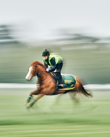 NEWMARKET-RACECOURSE-29th-APRIL-DJ-0713
