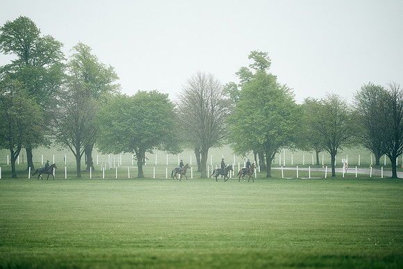 NEWMARKET-RACECOURSE-29th-APRIL-DJ-0228
