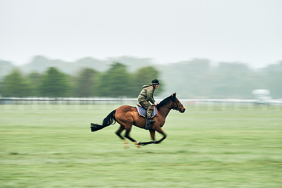 NEWMARKET-RACECOURSE-29th-APRIL-DJ-0884
