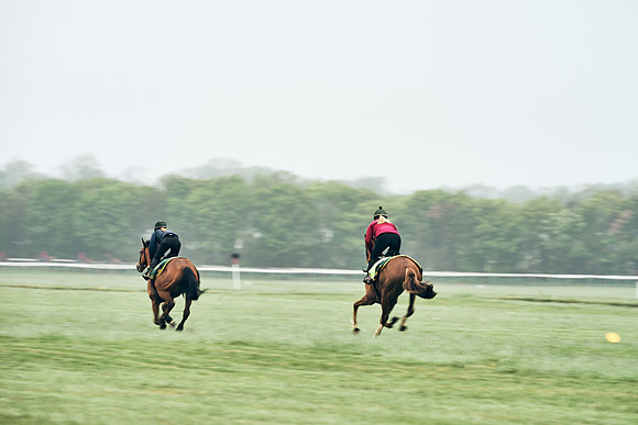 NEWMARKET-RACECOURSE-29th-APRIL-DJ-0811