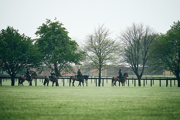 NEWMARKET-RACECOURSE-29th-APRIL-DJ-0268