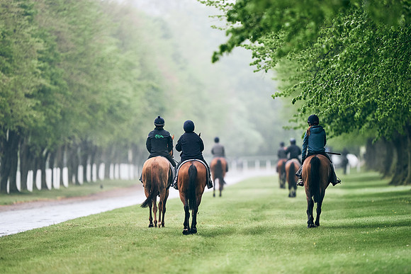 NEWMARKET-RACECOURSE-29th-APRIL-DJ-0196