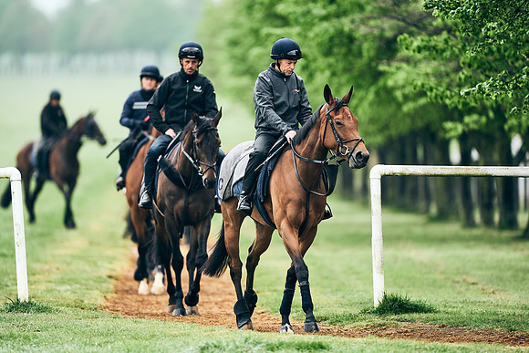 NEWMARKET-RACECOURSE-29th-APRIL-DJ-1280