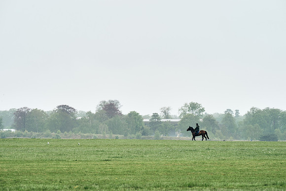 NEWMARKET-RACECOURSE-29th-APRIL-DJ-0990
