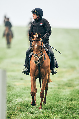 NEWMARKET-RACECOURSE-29th-APRIL-DJ-0140