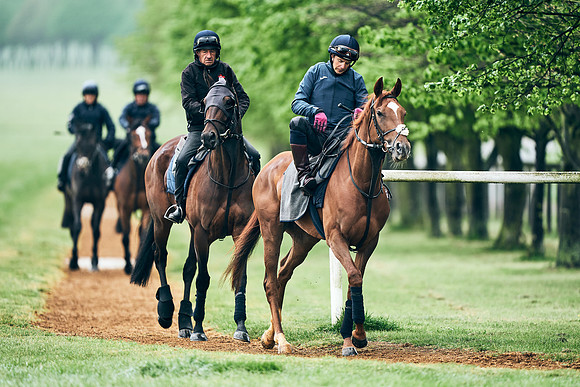 NEWMARKET-RACECOURSE-29th-APRIL-DJ-1315