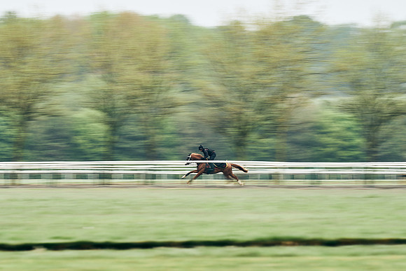 NEWMARKET-RACECOURSE-29th-APRIL-DJ-1165