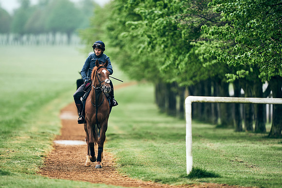 NEWMARKET-RACECOURSE-29th-APRIL-DJ-1308