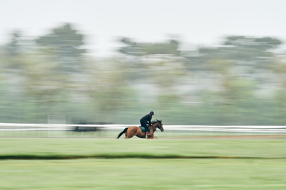 NEWMARKET-RACECOURSE-29th-APRIL-DJ-0699