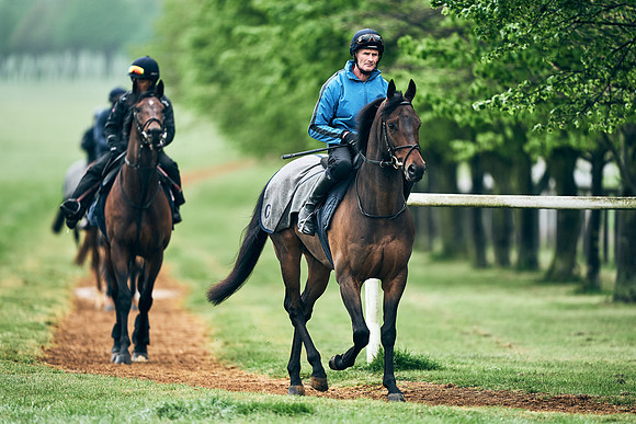 NEWMARKET-RACECOURSE-29th-APRIL-DJ-1297