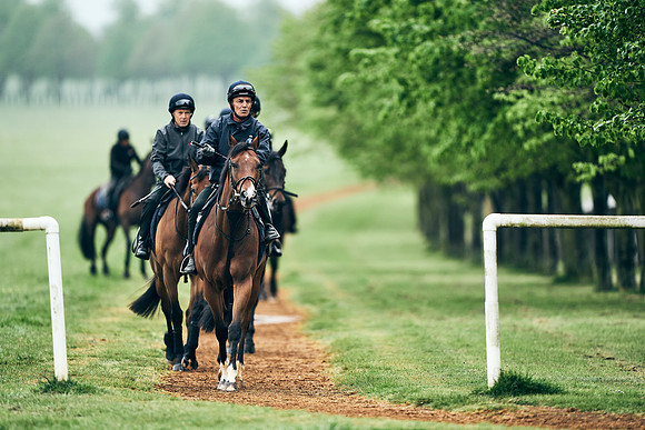 NEWMARKET-RACECOURSE-29th-APRIL-DJ-1269