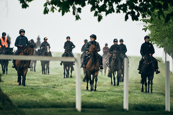 NEWMARKET-RACECOURSE-29th-APRIL-DJ-0028