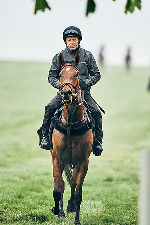 NEWMARKET-RACECOURSE-29th-APRIL-DJ-0142