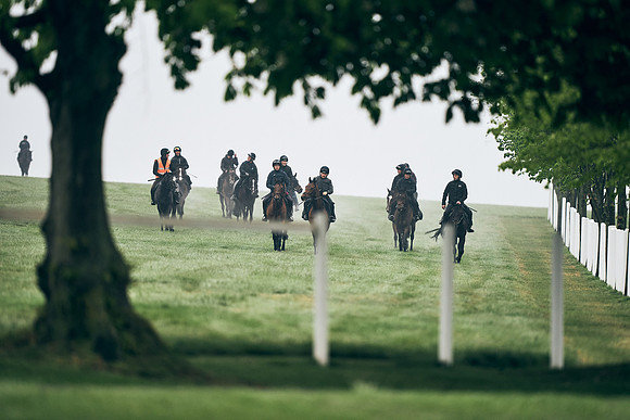 NEWMARKET-RACECOURSE-29th-APRIL-DJ-0012